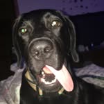 Morris Olson - @morrisolson.90 - Instagram