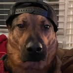 Morris Olson - Facebook