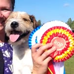 ✨Morris✨ - @parson_morris - Instagram