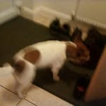 william morris payne - @paynewilliammorris - Instagram