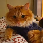 Morris Power - @mrrspower - Instagram