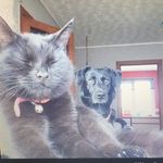 Morris Reid - @morrisreidbuk - Instagram