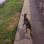 Morris Riddick Smith - @bigmo_onthego - Instagram