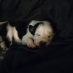 Morris Roberts - @morris.roberts.142240 - Instagram