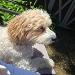 Morris Roberts - @morrisroberts52 - Instagram