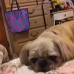 Dorothy Morris - @dorothy.morris.399041 - Instagram