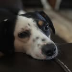 Morris W. Rothfeldt Jr - @morris.rothfeldt - Instagram