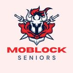 Morris Hills Senior Decisions‼️ - @moblock_seniors24 - Instagram