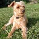Morris Victor Sherman - @morris.v.sherman - Instagram