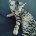 Tilly Morris - @morris.tilly - Instagram