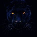 Morris Waller - @hassan2games313 - Instagram