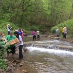 Morris Creek Watershed Assoc. - @morriscreekwatershed - Instagram