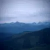 Webb morris - @webb.morris - TikTok