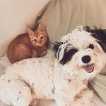 Webster and Morris - @webster_and_morris - Instagram
