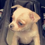 Bentley Morris-Wilkinson - @bentleymorriswilkinson - Instagram