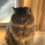 Mortikiah Johnson Frey - @mort_johnson - Instagram