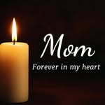 Morteza Mansouri - @morteza.mansouri.9 - Instagram