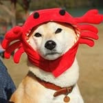 Mose Brown - @squid_kid42 - Instagram