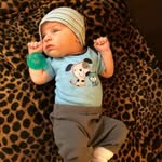 mose shetler - @moseshetler2 - Instagram