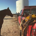 Moses Acosta - @cowboymoyj - Instagram