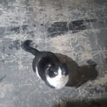 Moses Alfred - @moses.alfred.564 - Instagram