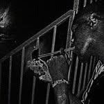 Moses Baker - @slitha_t - Instagram