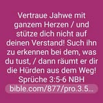 blum - @moses_blum - Instagram