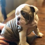 Moses Castillo - @mosescastillo9 - Instagram
