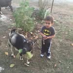 Moses Castillo - @mocastillo979 - Instagram