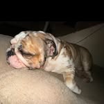 Moses Domingo - @not_moses3 - Instagram