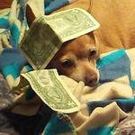 Moses Gonzales - @moses.gonzales.353 - Instagram