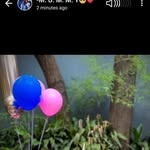 Griffin Moses - @griffinmoses9 - Instagram