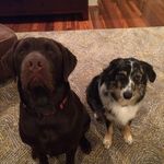 Harper & Moses - @harper_moses - Instagram