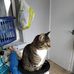 Heath Moses - Facebook