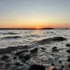James Moses - @james.moses.12 - TikTok
