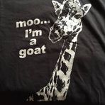 Moses Johnston - Facebook