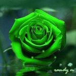 Moses Miller - @moses.miller.9237 - Instagram