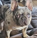 Moses Sanders - Facebook