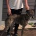 Moses Thompson - Facebook