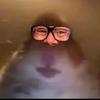 Tik Toker - @mosesthompson4 - TikTok