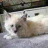 Moses Torres - @moses.torres25 - TikTok