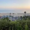 Moses Wilson - @moses.wilson7 - TikTok