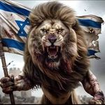 Moshe Gold - @moshe.gold2 - Instagram