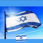 Moshe Grossman - @moshegrossman - Instagram