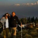 Moshe Lerner - @moshelerner - Instagram