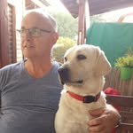 Moshe Mandel - @moshe.mandel.33 - Instagram