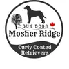 MosherRidge - @mosherridge - TikTok