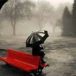 Moshiur Rahaman Khan - @moshiur.khan - Instagram