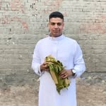 Mostafa Gamal - @mostafa_gamal_185 - Instagram