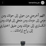 Mostafa Hassanein - @hassaneinmostafa - Instagram